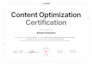 write surfer SEO or neuronwriter optimized blogs to skyrocket your traffic